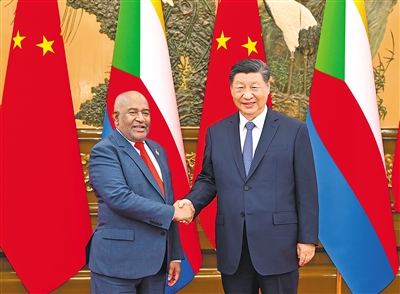 习近平分别会见出席中非合作论坛北京峰会的部分非洲国家领导人(图3)