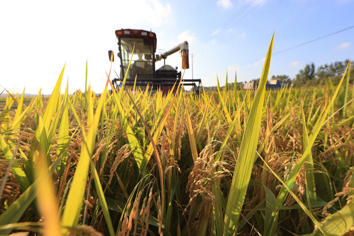 思想之光照亮奋进之路——以习近平同志为核心的党中央引领中国经济社会高质量发展迈向新境界(图12)