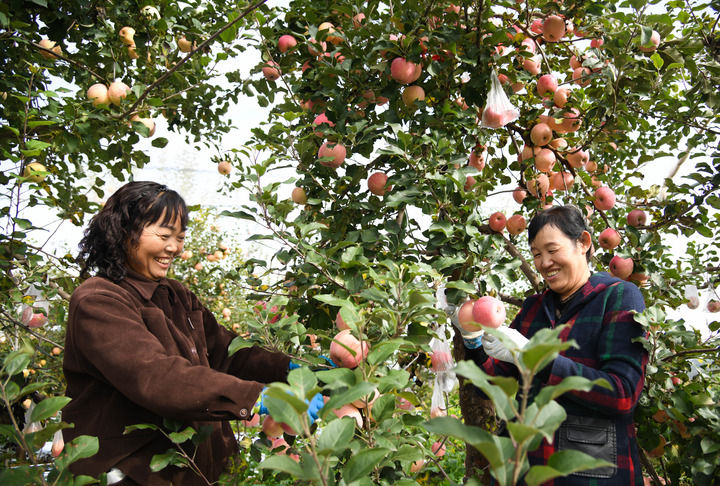 新华社北京3月2日电 《习近平总书记率领打赢脱贫攻坚战》一书近日由中共中央党校出版社出版，在全国发行。(图10)