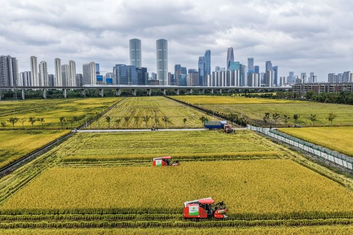 新华社北京3月2日电 《习近平总书记率领打赢脱贫攻坚战》一书近日由中共中央党校出版社出版，在全国发行。(图4)