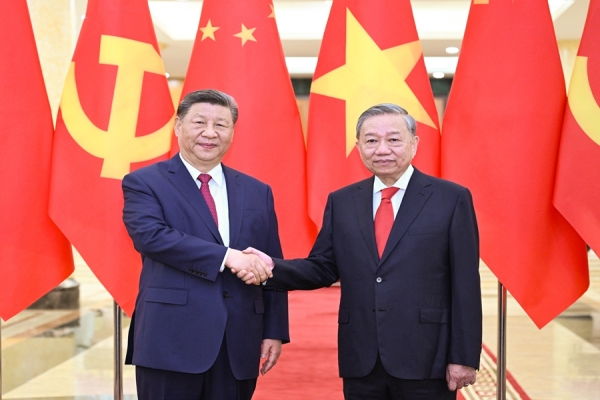 习近平同越共中央总书记苏林举行会谈